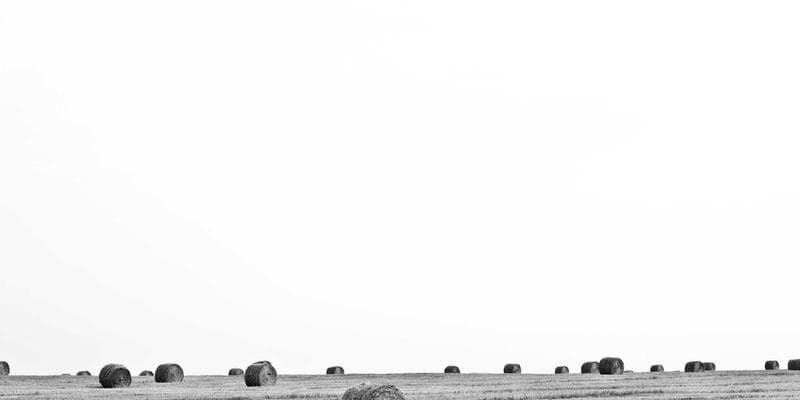 Fundraising 101: The Ultimate Guide to Nailing Investor Due Diligence